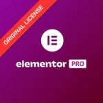 Elementor Pro Update Life Time Seumur Hidup - Gambar 2